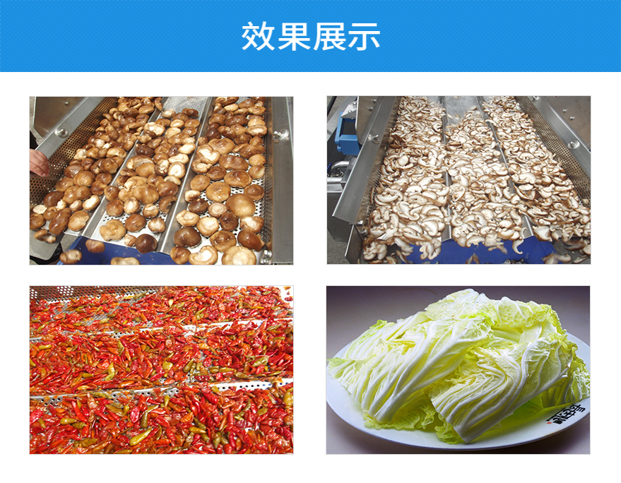四海商务网-TW-406洗菜机