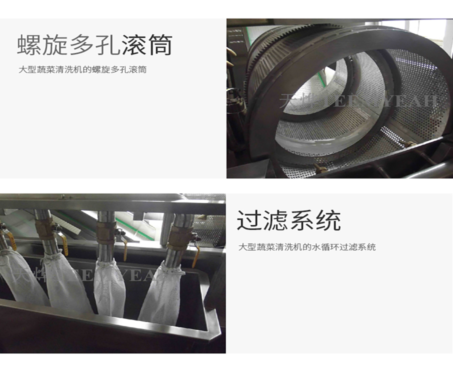 四海商务网-TW-506L 大型蔬菜清洗机